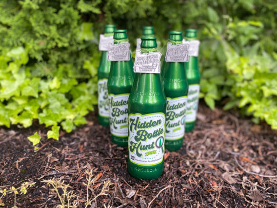 Six green BottleDrop Refillable bottle sitting in a natural setting of brown ground cover and ivy.